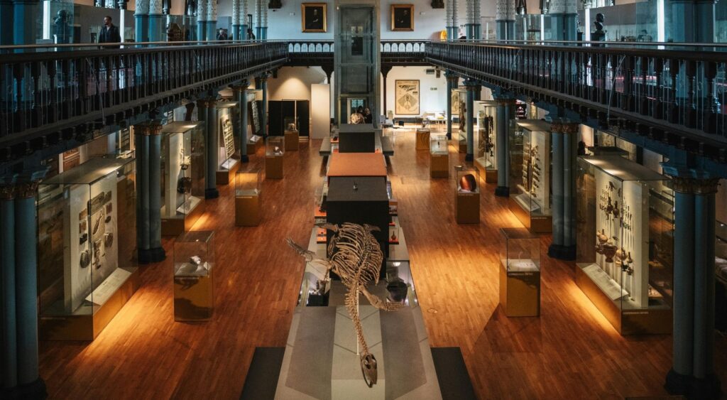 Lights for Museums & Showrooms
